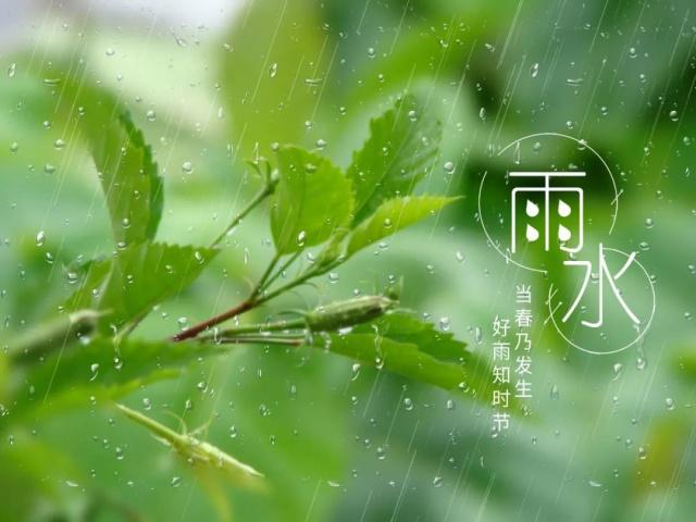 一節氣一文物之雨水